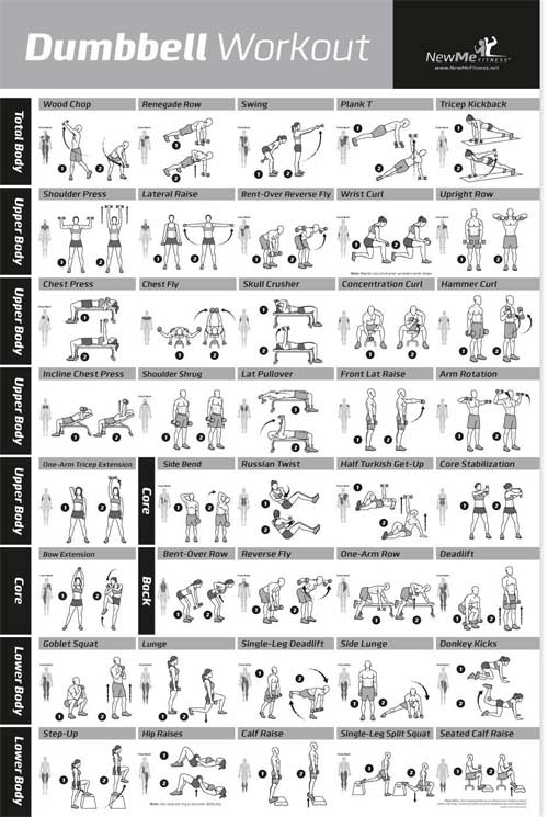 15 Minute At Home Workout Routine With Dumbbells for Build Muscle