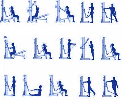 Cable Machine Exercises